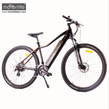 1000w BAFANG mid drive New Design electric road bike with hidden battery, electric mountain bicycle